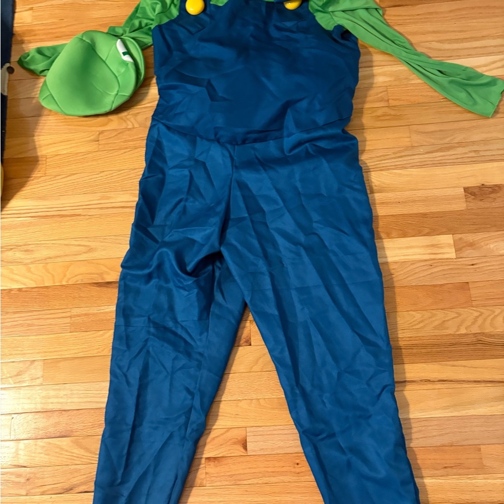 Mario Cart Costumes - Picture 2 of 6
